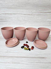 Load image into Gallery viewer, Rice Husk