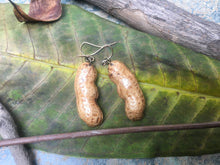 Load image into Gallery viewer, Peanut Shell Earrings | Real Peanut