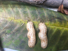 Load image into Gallery viewer, Peanut Shell Earrings | Real Peanut
