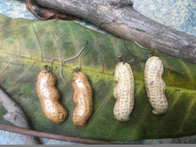 Load image into Gallery viewer, Peanut Shell Earrings | Real Peanut